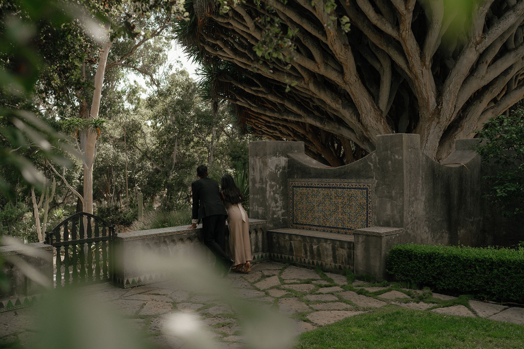 A couple stand on a cobblestone patio looking out to the beautiful landscape next to a dragon tree.